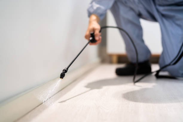 Licensed Termite Control service in North Terre Haute, IN - Show Me Pest Control