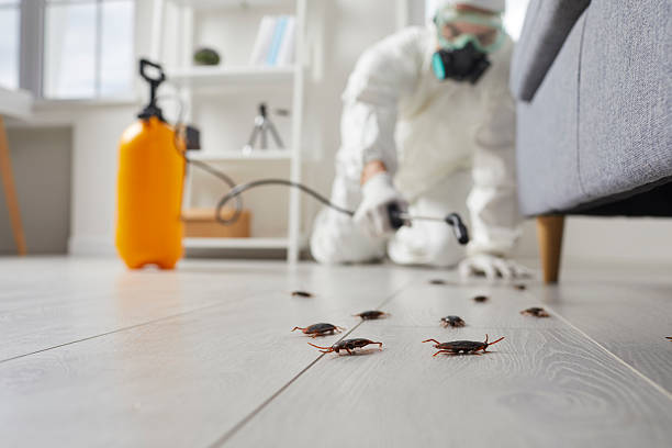 Commercial Rodent Management in North Terre Haute